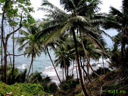 Андаманские острова