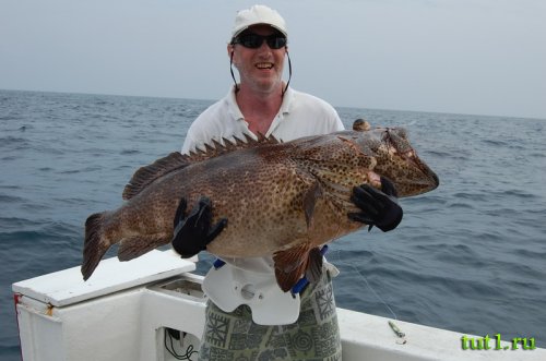 Рыбалка на Андаманских островах