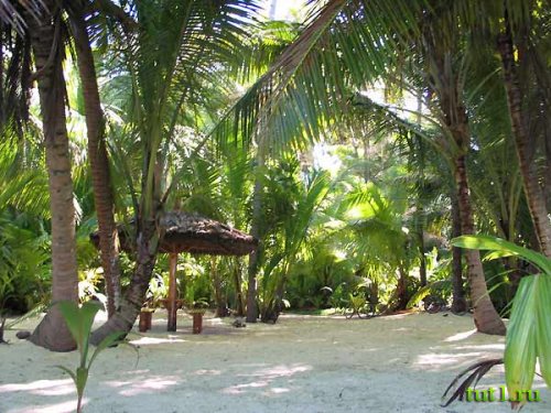 Остров Дерош