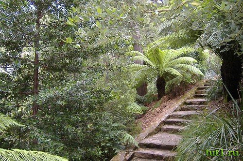 Ботанический сад Канберры