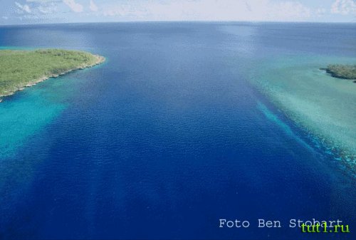 Атолл Альдабра