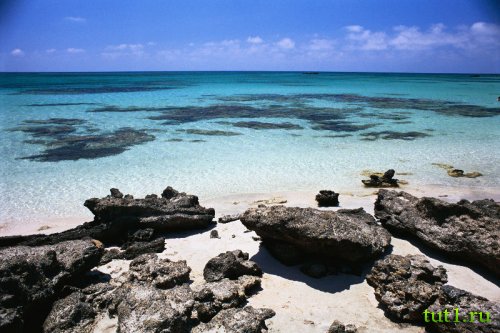 Атолл Альдабра