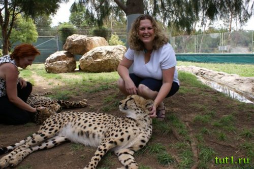 Зоопарк Канберры