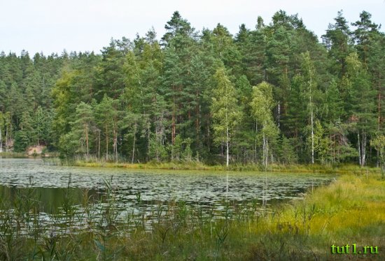 Национальный парк-заповедник Нууксио в Эспоо, Финляндия