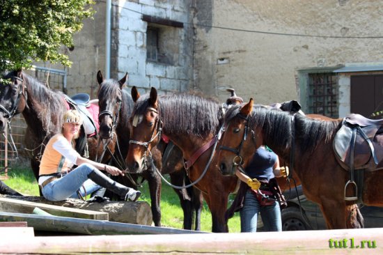 Чешский рай - парк