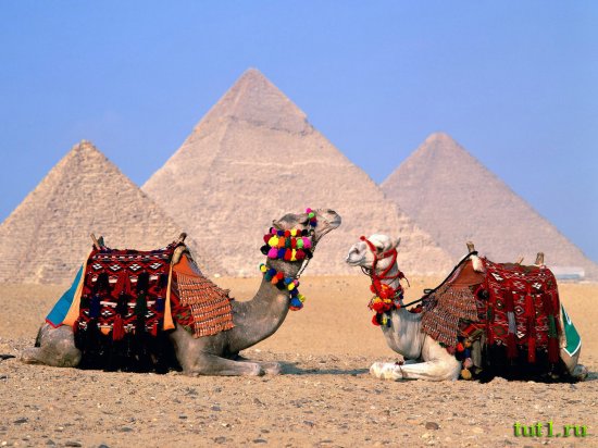 Пирамиды Гизы - Каир