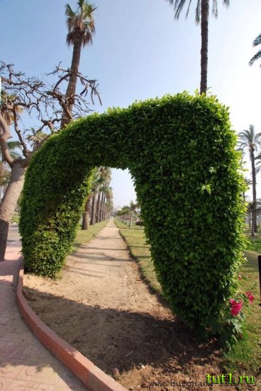 Парк дворца Монтаза - Александрия