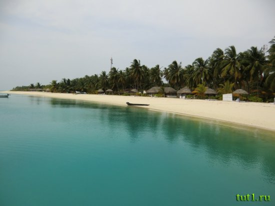Лаккадивские острова