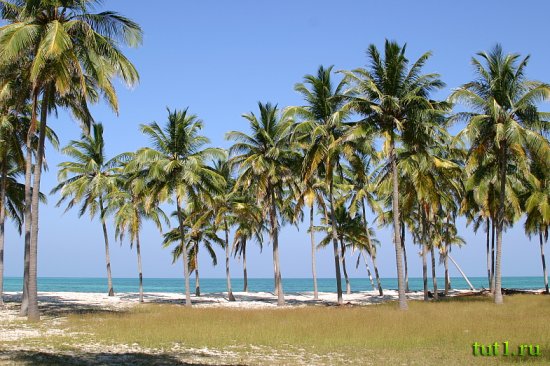 Лаккадивские острова