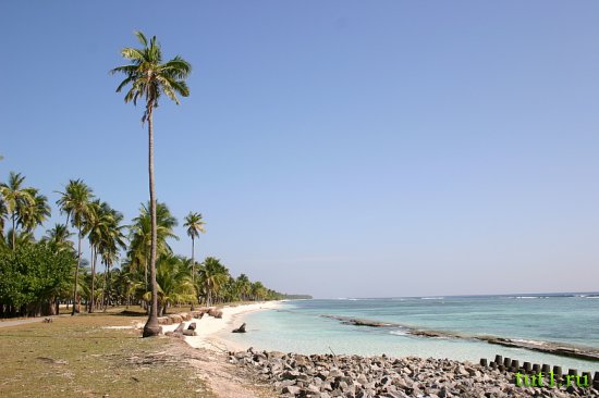 Лаккадивские острова