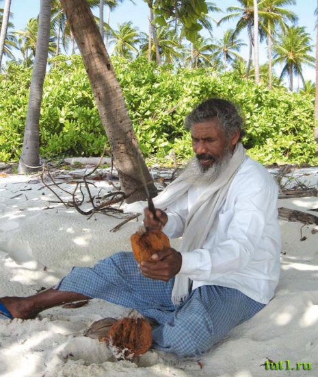 Лаккадивские острова