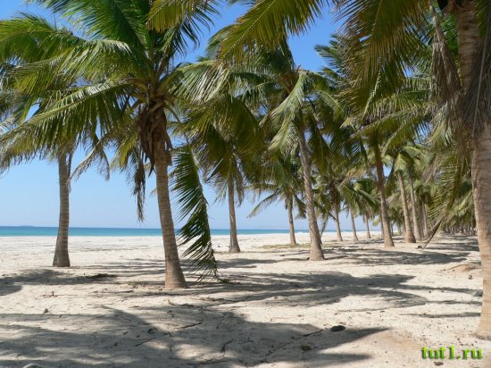 Лаккадивские острова