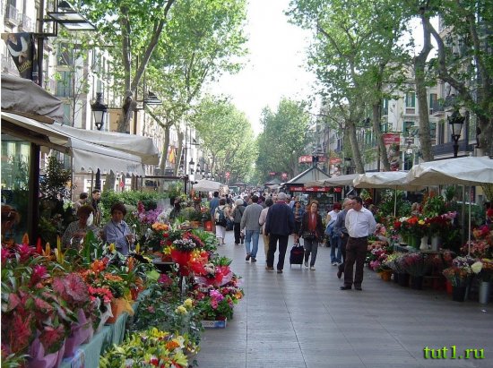 Барселона - Рамбла Цветов