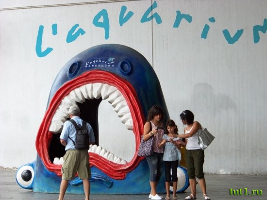 Аквариум Басрелоны