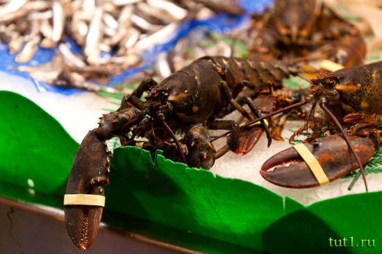 Барселона - рынок Бокерия