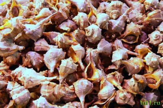 Барселона - рынок Бокерия