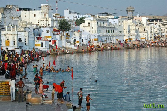 Пушкар - Индия