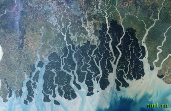 Племена Сундарбана — Индия