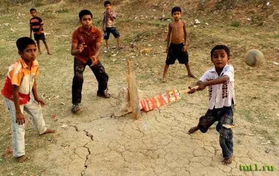 Крикет в Индии