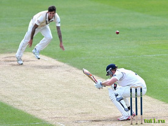 Крикет в Индии