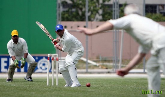 Крикет в Индии