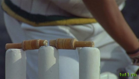 Крикет в Индии