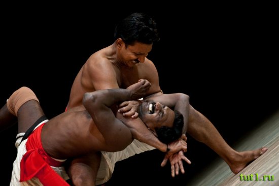 Индия - боевое искусство калари паятту