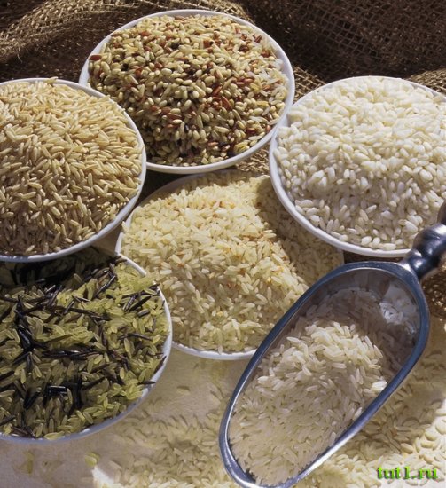 Тамилнад - рисовые поля