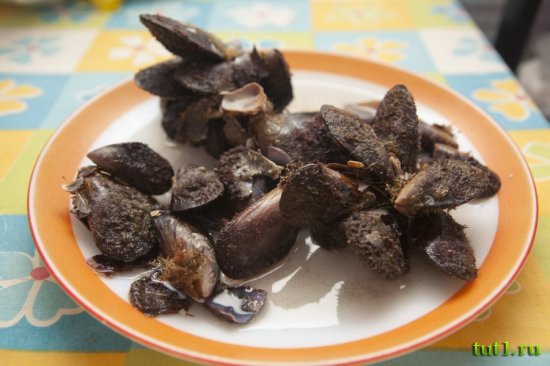 Штат Керала - дары моря