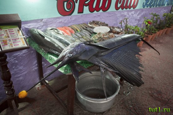 Штат Керала - дары моря