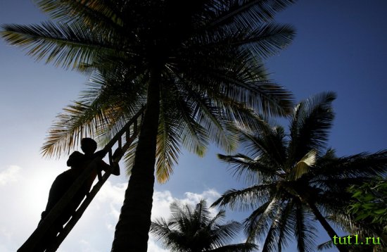 Штат Керала - каналы