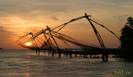 Штат Керала - сети пауки