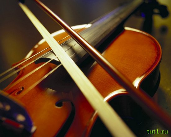 Индийская музыка - скрипка