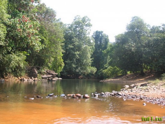 Заповедник Бхагван Махавир - Индия