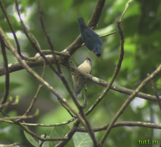 Заповедник Бхагван Махавир - поползни