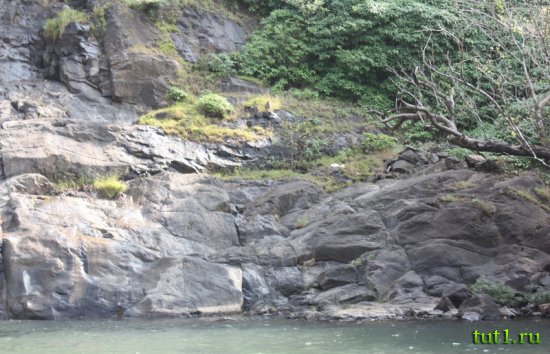 Заповедник Бхагван Махавир - Индия