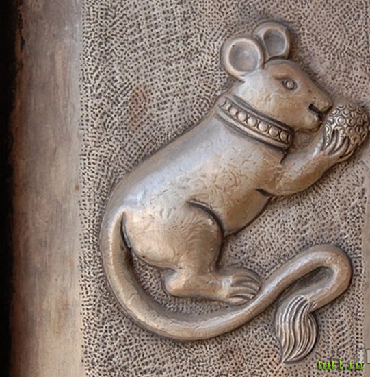 Карни Мата храм 20 000 крыс - Индия