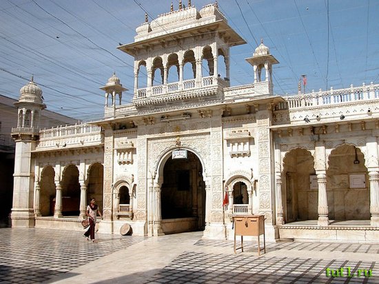 Карни Мата ― храм 20 000 крыс