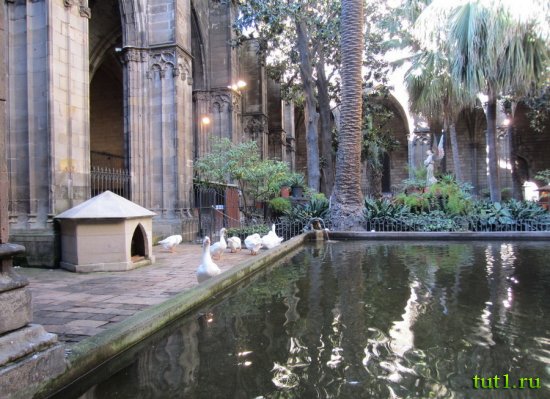 Кафедральный Собор Святого Креста и Святой Евлалии - Барселона