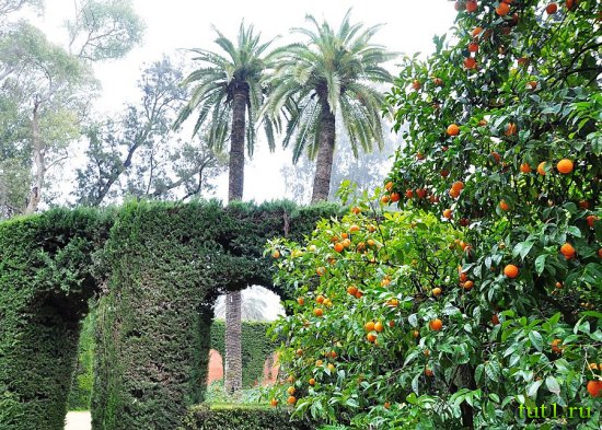 Дворец Алькасар - Севилья