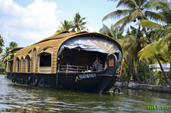 Каналы Кералы - Индия