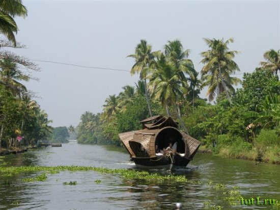 Каналы Кералы — «Индийская Венеция»
