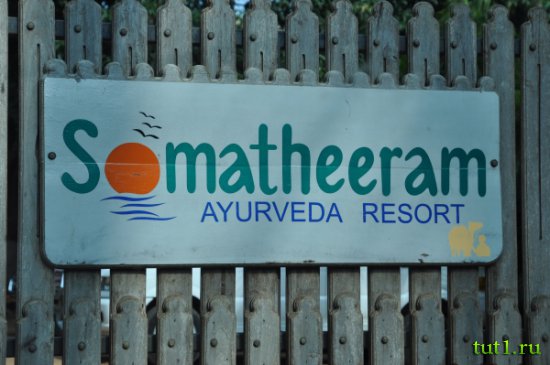 Аюрведический курорт Somatheeram Ayurveda Resort, Керала