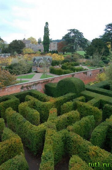 Дворец Хэмптон-Корт - сады