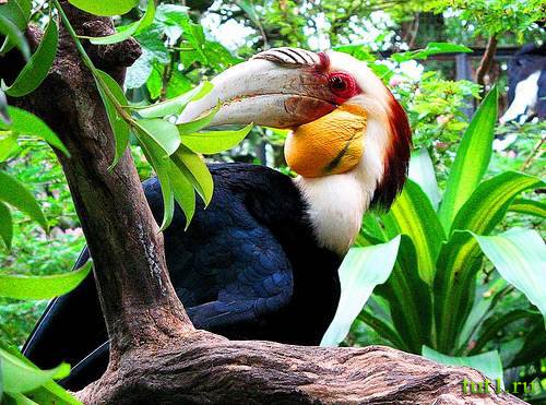 Остров Бали