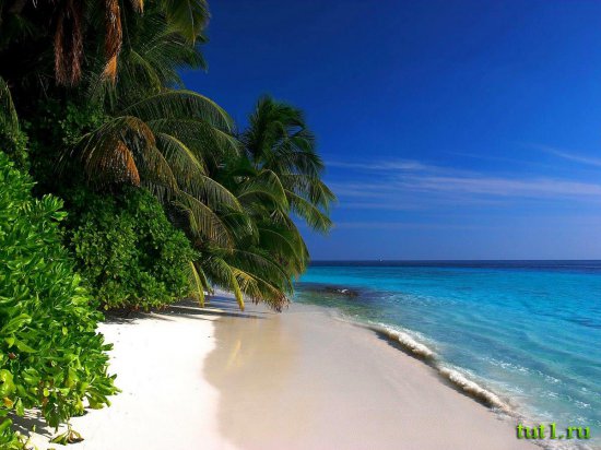 Мальдивские острова