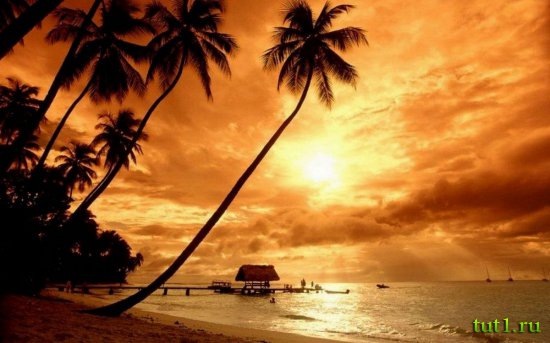 Мальдивские острова — фото
