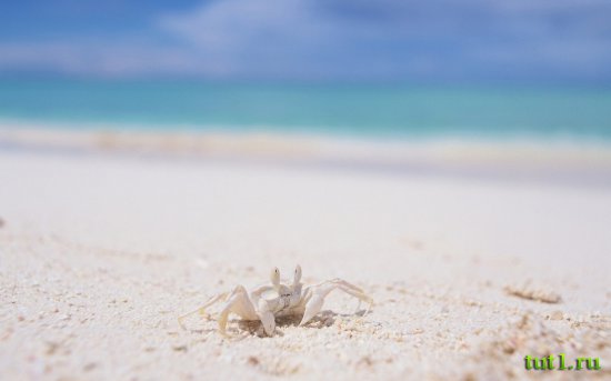 Мальдивские острова