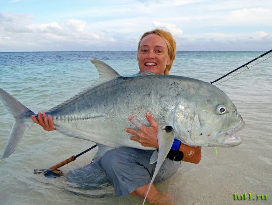 Сейшельские острова - рыбалка
