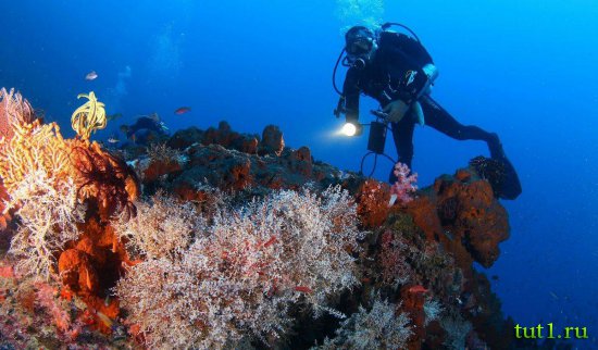Водные развлечения Бали